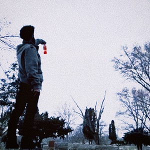 Bloody Revolver (Explicit)