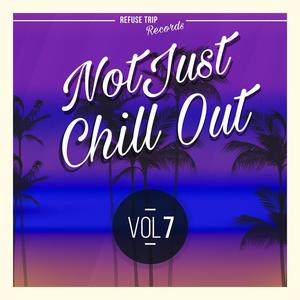 Not Just Chill Out Vol. 7