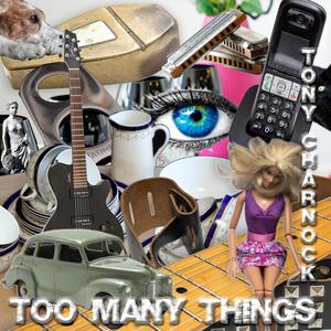 Too Many Things