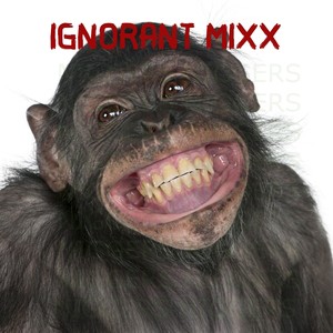 IGNORANT MIXX. (Explicit)