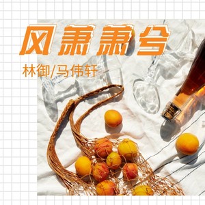 马伟轩 - 风萧萧兮