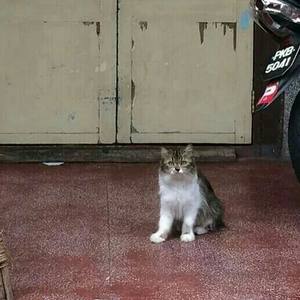 【哄睡电台】我希望有个如你一般的人