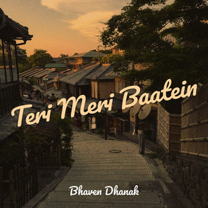 Teri Meri Baatein