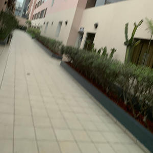 cuando sera (feat. che xalmirr) (Explicit)