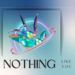 Nothing Like You (Extended Mix)