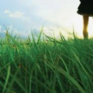 sun down (feat. Tooly?) (Explicit)