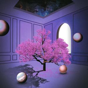 Dead Rose Canvas (Instrumental)