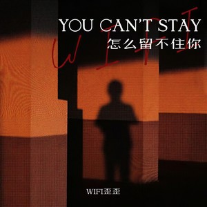怎么留不住你