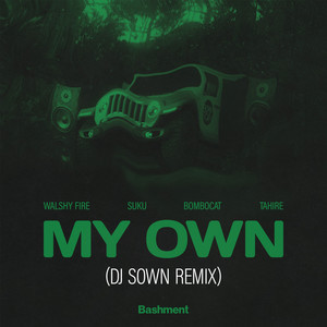 My Own (DJ Sown Remix) [Explicit]