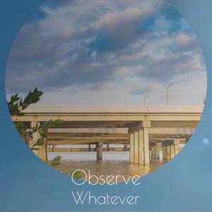 Observe Whatever