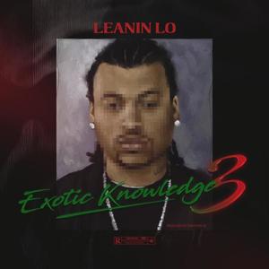 Exotic Knowledge 3 (Explicit)