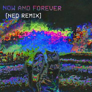 now and forever (ned remix)