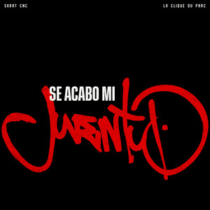 Se Acabo Mi Juventud (Explicit)