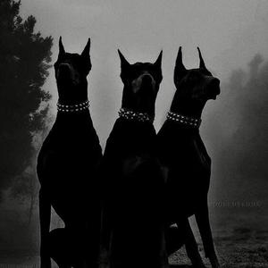 dont kno her name (feat. Jadennyx ! & Zipp) (Explicit)