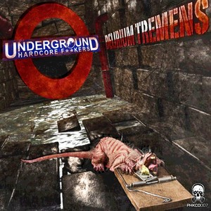 Underground Hardcore F**kers - Delirium Tremens