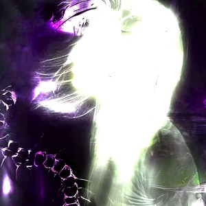 white lotus - 8d slowed