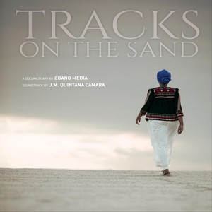 Tracks on the Sand