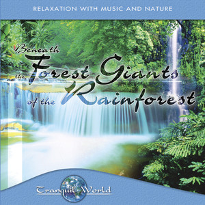 Tranquil World - Under The Forest Giant Of The Rainforest