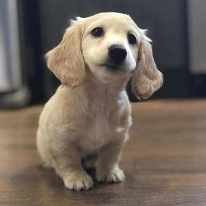 Believe it (Explicit)