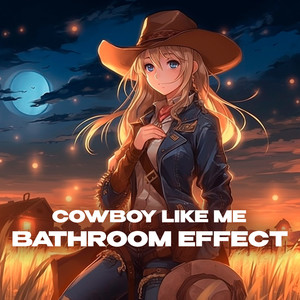 cowboy like me (bathroom at party effect)