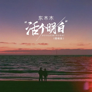 活个明白 (烟嗓版)