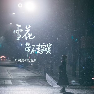 雪花带不走寂寞