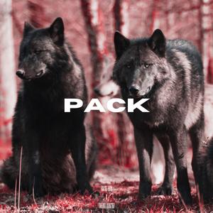 PACK (feat. False Ego)