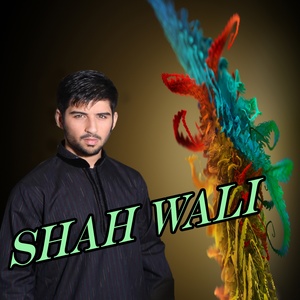 Shah Wali