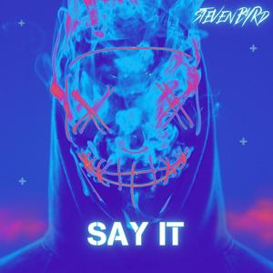 Say It (Explicit)