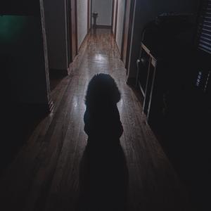 from the Ground (Explicit)