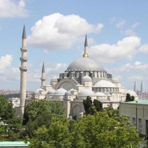 Palliparambile Aaradi Mannile