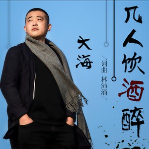 几人饮酒醉 (DJ阿远 Extended Mix)