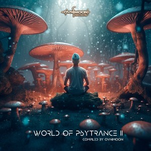 World of Psytrance 11