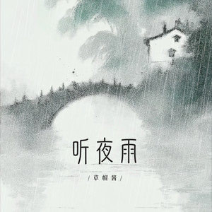 听夜雨 (DJ阿泽版)