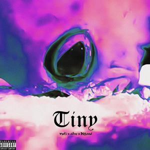 Tiny (Explicit)