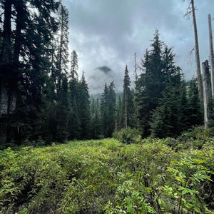 My Way (The Way pt.2) (Explicit)