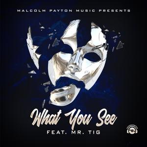 What You See (feat. Tony Tig)