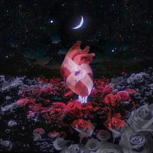 No day No night (Feat.冰冻装置❁)