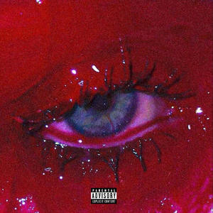 VISIONS (Explicit)