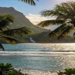 A more beautiful future