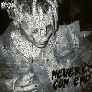 NEVER GON END (Remix|Explicit)