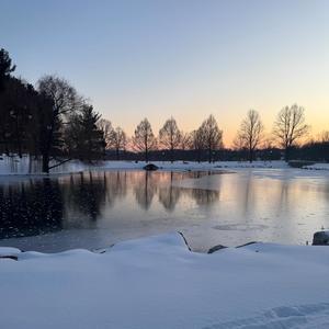 david goggins (feat. ezruh) (Explicit)