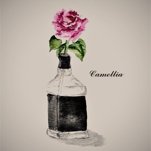 Camellia