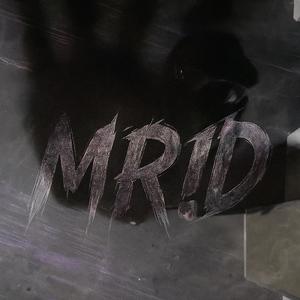 MR!D (feat. LeakeR) (Explicit)
