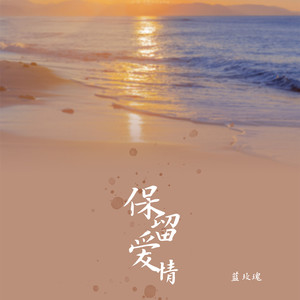 保留爱情 (DJ可乐版)