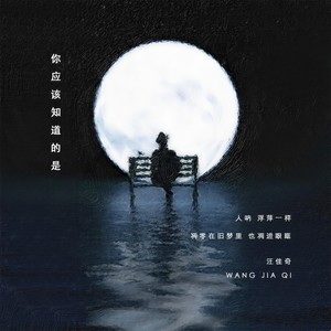 你应该知道的是 伴奏