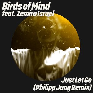 Just Let Go (Philipp Jung Remix)