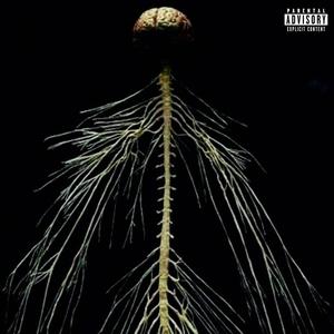 INSOMNIA (feat. JAAS33) (Explicit)