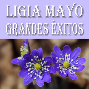 Ligia Mayo Grandes Éxitos