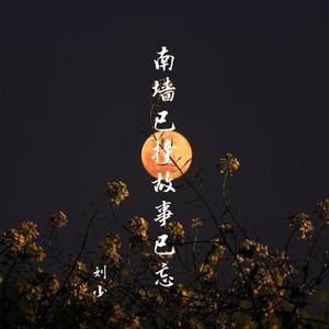 南墙已撞故事已忘